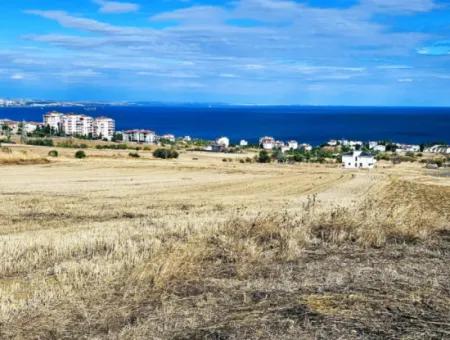 Opportunity Land Suitable For Building Your Detached House In Your Pregnant House For Urgent Sale In Tekirdag Barbarosta