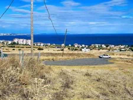 Opportunity Land Suitable For Building Your Detached House In Your Pregnant House For Urgent Sale In Tekirdag Barbarosta