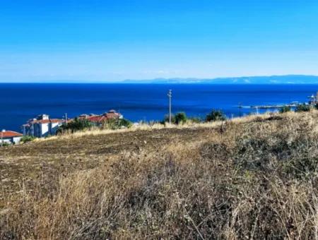 Opportunity Land Suitable For Building Your Detached House In Your Pregnant House For Urgent Sale In Tekirdag Barbarosta