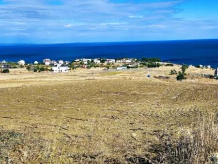 Opportunity Land Suitable For Building Your Detached House In Your Pregnant House For Urgent Sale In Tekirdag Barbarosta