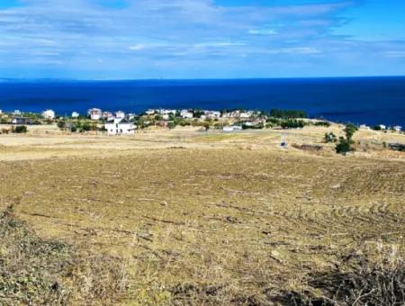 Opportunity Land Suitable For Building Your Detached House In Your Pregnant House For Urgent Sale In Tekirdag Barbarosta