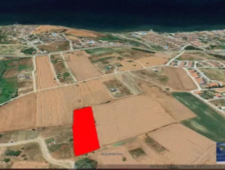 Suitable For Urgent Sale Cooperative And Site In Tekirdag Barbarosta. High Profit Guarantee To The Investor