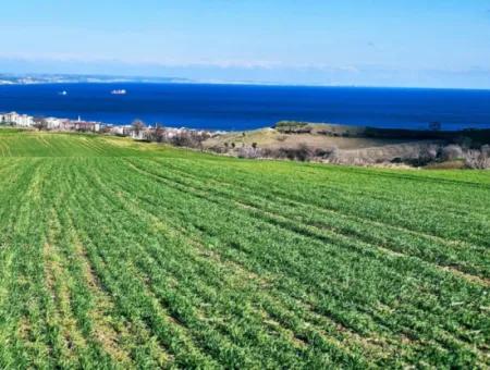 35.000 M2 Villa Zoned Land With Full Sea View For Urgent Sale In Tekirdag Barbarosta