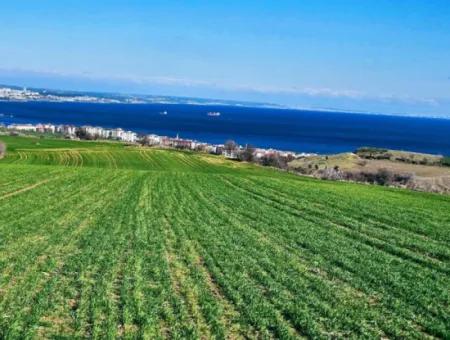 35.000 M2 Villa Zoned Land With Full Sea View For Urgent Sale In Tekirdag Barbarosta