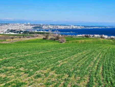 35.000 M2 Villa Zoned Land With Full Sea View For Urgent Sale In Tekirdag Barbarosta