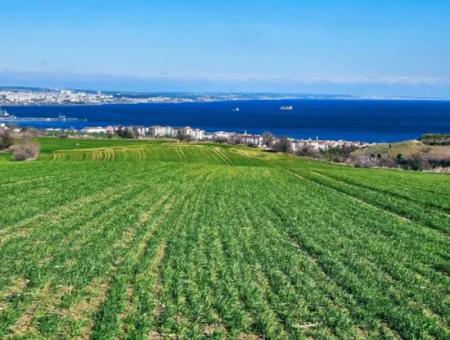 35.000 M2 Villa Zoned Land With Full Sea View For Urgent Sale In Tekirdag Barbarosta