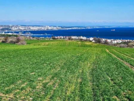 35.000 M2 Villa Zoned Land With Full Sea View For Urgent Sale In Tekirdag Barbarosta