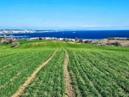 35.000 M2 Villa Zoned Land With Full Sea View For Urgent Sale In Tekirdag Barbarosta