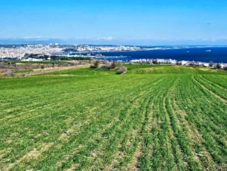 35.000 M2 Villa Zoned Land With Full Sea View For Urgent Sale In Tekirdag Barbarosta