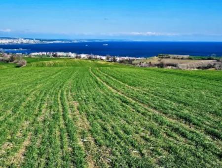 35.000 M2 Villa Zoned Land With Full Sea View For Urgent Sale In Tekirdag Barbarosta