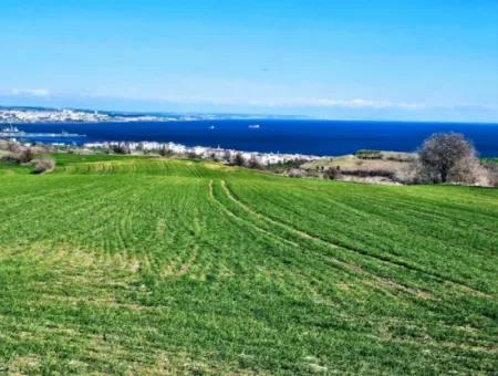 35.000 M2 Villa Zoned Land With Full Sea View For Urgent Sale In Tekirdag Barbarosta