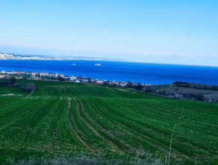 35.000 M2 Villa Zoned Land With Full Sea View For Urgent Sale In Tekirdag Barbarosta