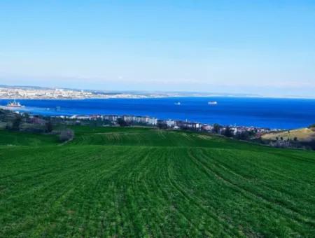 35.000 M2 Villa Zoned Land With Full Sea View For Urgent Sale In Tekirdag Barbarosta