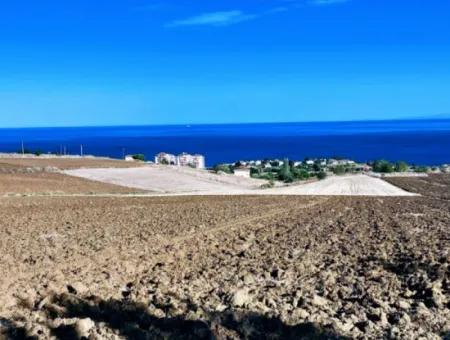 High Profit Guarantee For The Investor For Emergency Sale In Tekirdag Barbrosta 50 Flats Of Cooperative And Site Suitable Land For Construction