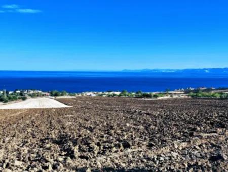 High Profit Guarantee For The Investor For Emergency Sale In Tekirdag Barbrosta 50 Flats Of Cooperative And Site Suitable Land For Construction