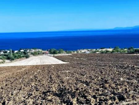 High Profit Guarantee For The Investor For Emergency Sale In Tekirdag Barbrosta 50 Flats Of Cooperative And Site Suitable Land For Construction