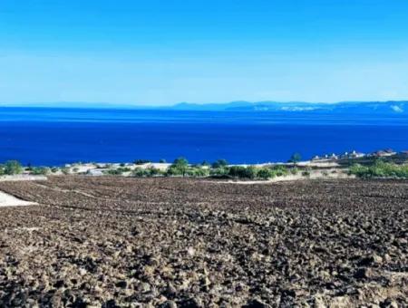 High Profit Guarantee For The Investor For Emergency Sale In Tekirdag Barbrosta 50 Flats Of Cooperative And Site Suitable Land For Construction