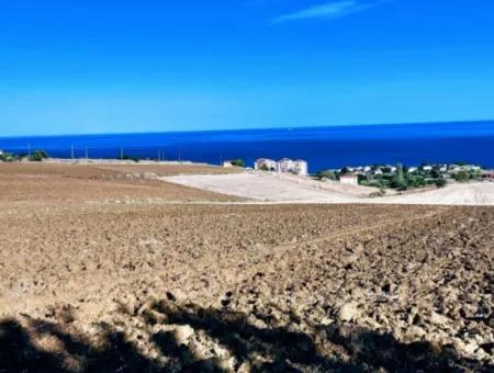 High Profit Guarantee For The Investor For Emergency Sale In Tekirdag Barbrosta 50 Flats Of Cooperative And Site Suitable Land For Construction