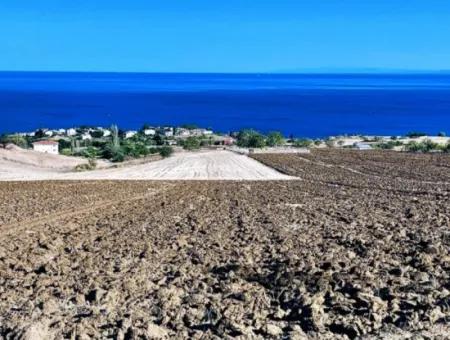 High Profit Guarantee For The Investor For Emergency Sale In Tekirdag Barbrosta 50 Flats Of Cooperative And Site Suitable Land For Construction