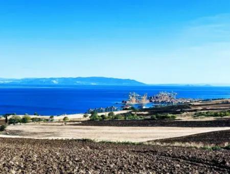 High Profit Guarantee For The Investor For Emergency Sale In Tekirdag Barbrosta 50 Flats Of Cooperative And Site Suitable Land For Construction