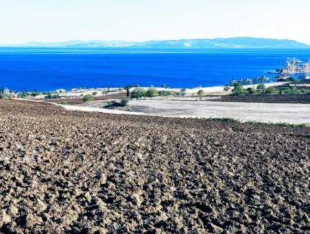 High Profit Guarantee For The Investor For Emergency Sale In Tekirdag Barbrosta 50 Flats Of Cooperative And Site Suitable Land For Construction