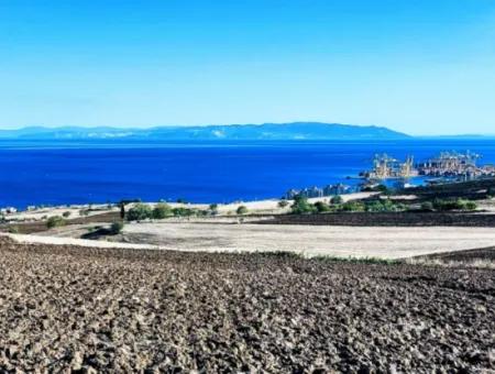 High Profit Guarantee For The Investor For Emergency Sale In Tekirdag Barbrosta 50 Flats Of Cooperative And Site Suitable Land For Construction