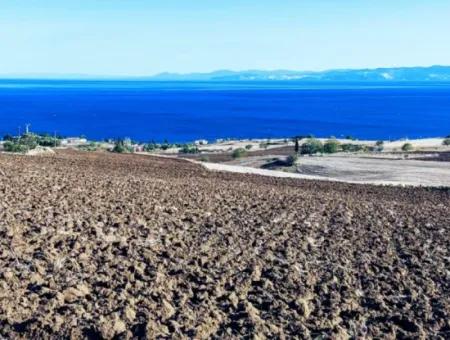 High Profit Guarantee For The Investor For Emergency Sale In Tekirdag Barbrosta 50 Flats Of Cooperative And Site Suitable Land For Construction