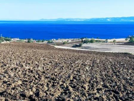 High Profit Guarantee For The Investor For Emergency Sale In Tekirdag Barbrosta 50 Flats Of Cooperative And Site Suitable Land For Construction