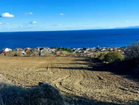 Residential Zoned Land With Full Sea View Suitable For The Construction Of A 42-Apartment Cooperative Site For Urgent Sale In Tekirdag Barbarosta