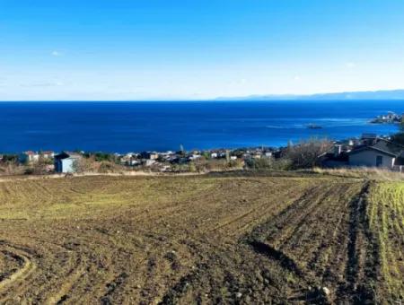 Residential Zoned Land With Full Sea View Suitable For The Construction Of A 42-Apartment Cooperative Site For Urgent Sale In Tekirdag Barbarosta