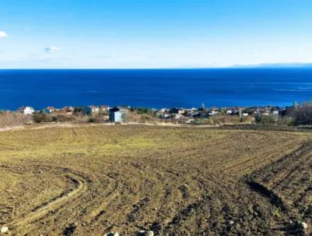 Residential Zoned Land With Full Sea View Suitable For The Construction Of A 42-Apartment Cooperative Site For Urgent Sale In Tekirdag Barbarosta