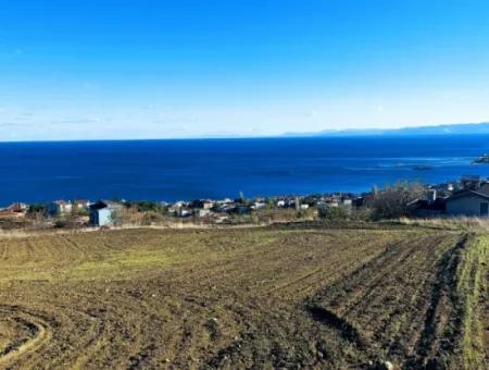 Residential Zoned Land With Full Sea View Suitable For The Construction Of A 42-Apartment Cooperative Site For Urgent Sale In Tekirdag Barbarosta