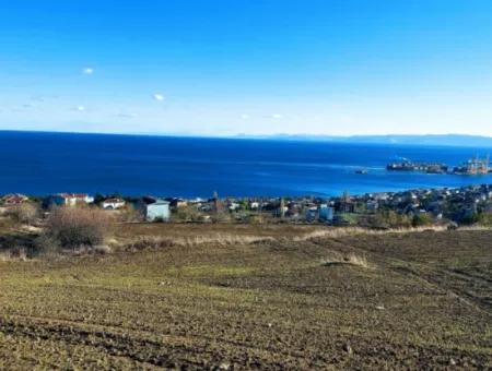 Residential Zoned Land With Full Sea View Suitable For The Construction Of A 42-Apartment Cooperative Site For Urgent Sale In Tekirdag Barbarosta