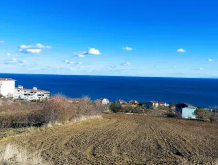 Residential Zoned Land With Full Sea View Suitable For The Construction Of A 42-Apartment Cooperative Site For Urgent Sale In Tekirdag Barbarosta