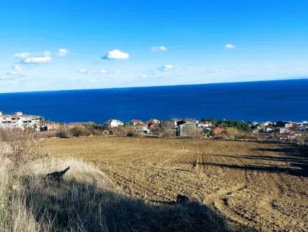 Residential Zoned Land With Full Sea View Suitable For The Construction Of A 42-Apartment Cooperative Site For Urgent Sale In Tekirdag Barbarosta