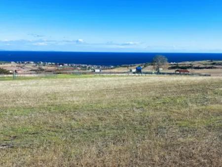 15.000 M2 Villa Zoned Land For Urgent Sale In Tekirdag Barbarosta