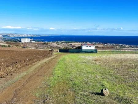 15.000 M2 Villa Zoned Land For Urgent Sale In Tekirdag Barbarosta