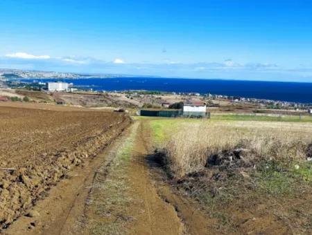 15.000 M2 Villa Zoned Land For Urgent Sale In Tekirdag Barbarosta