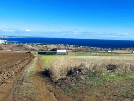 15.000 M2 Villa Zoned Land For Urgent Sale In Tekirdag Barbarosta