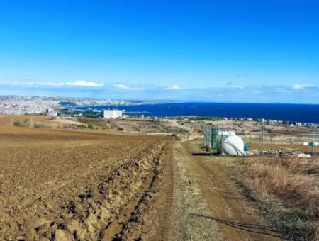 15.000 M2 Villa Zoned Land For Urgent Sale In Tekirdag Barbarosta