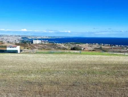 15.000 M2 Villa Zoned Land For Urgent Sale In Tekirdag Barbarosta