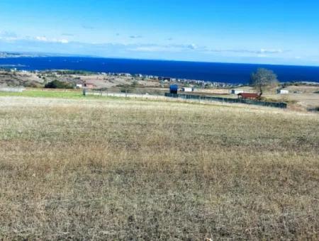 15.000 M2 Villa Zoned Land For Urgent Sale In Tekirdag Barbarosta