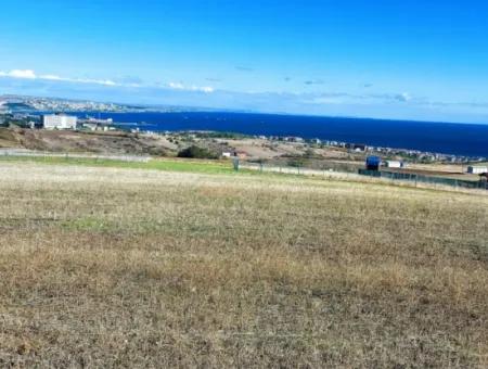 15.000 M2 Villa Zoned Land For Urgent Sale In Tekirdag Barbarosta