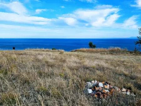 3.300 M2 Net Land Suitable For The Construction Of A Cooperative Site With Full Sea View For Urgent Sale In Tekirdag Barbarosta