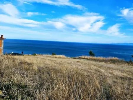 3.300 M2 Net Land Suitable For The Construction Of A Cooperative Site With Full Sea View For Urgent Sale In Tekirdag Barbarosta