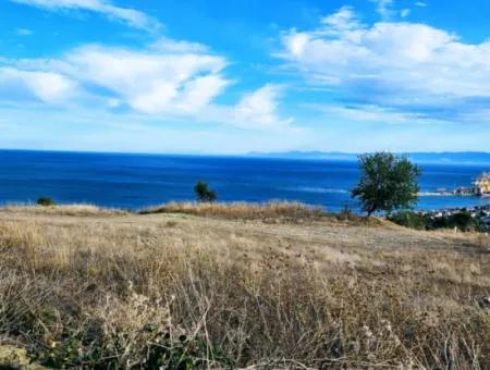 3.300 M2 Net Land Suitable For The Construction Of A Cooperative Site With Full Sea View For Urgent Sale In Tekirdag Barbarosta