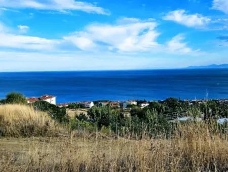 3.300 M2 Net Land Suitable For The Construction Of A Cooperative Site With Full Sea View For Urgent Sale In Tekirdag Barbarosta