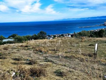 3.300 M2 Net Land Suitable For The Construction Of A Cooperative Site With Full Sea View For Urgent Sale In Tekirdag Barbarosta