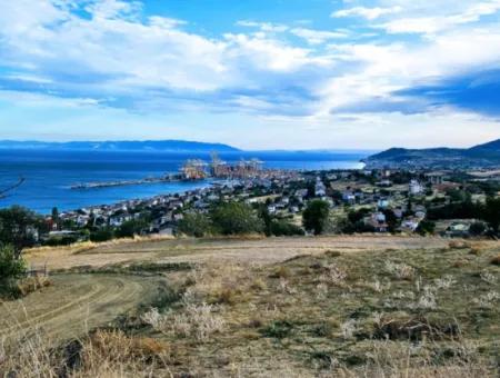 3.300 M2 Net Land Suitable For The Construction Of A Cooperative Site With Full Sea View For Urgent Sale In Tekirdag Barbarosta