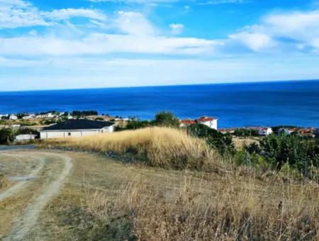 3.300 M2 Net Land Suitable For The Construction Of A Cooperative Site With Full Sea View For Urgent Sale In Tekirdag Barbarosta